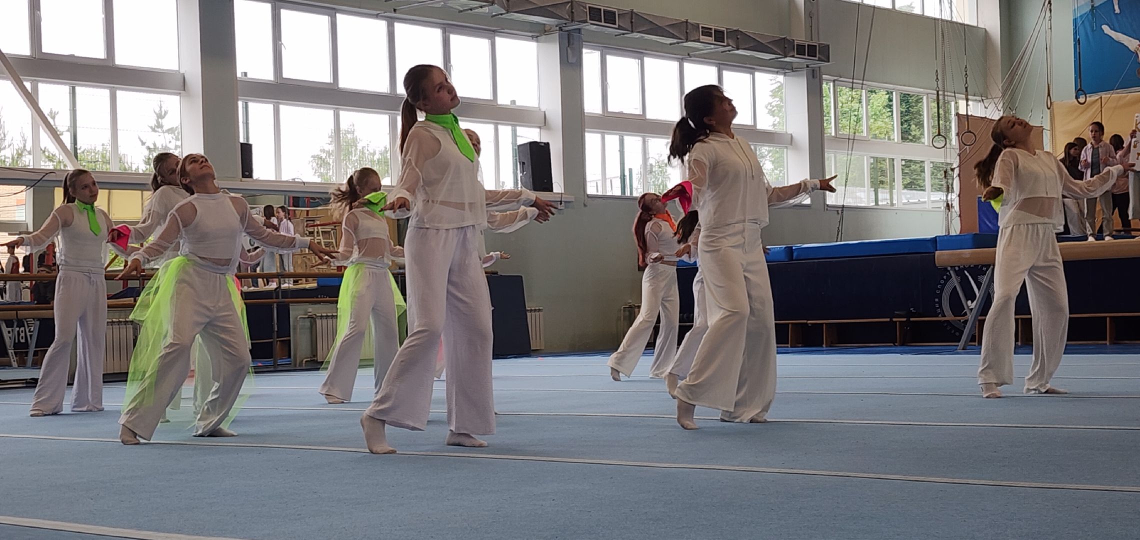 Спорт, Гимнастическая премьер-лига , Гимнастика , Спортивный Звенигород ,