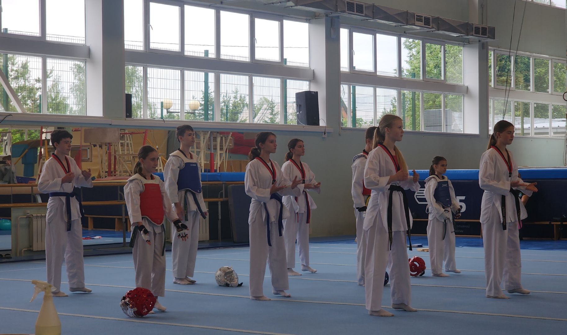 Спорт, Гимнастическая премьер-лига , Гимнастика , Спортивный Звенигород ,