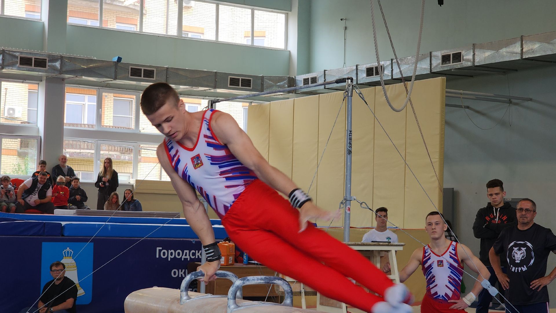 Спорт, Гимнастическая премьер-лига , Гимнастика , Спортивный Звенигород ,