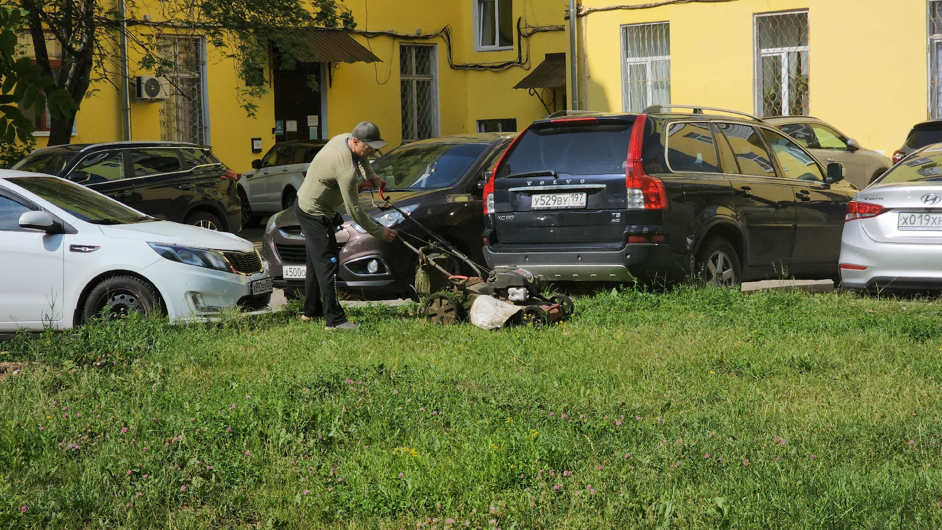 ступино, благоустройство, окос травы,