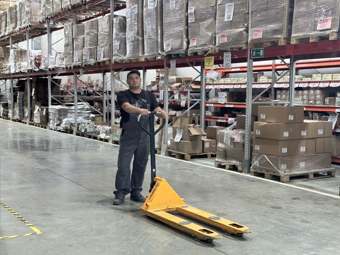 шаховская, завод, новые рабочие места,