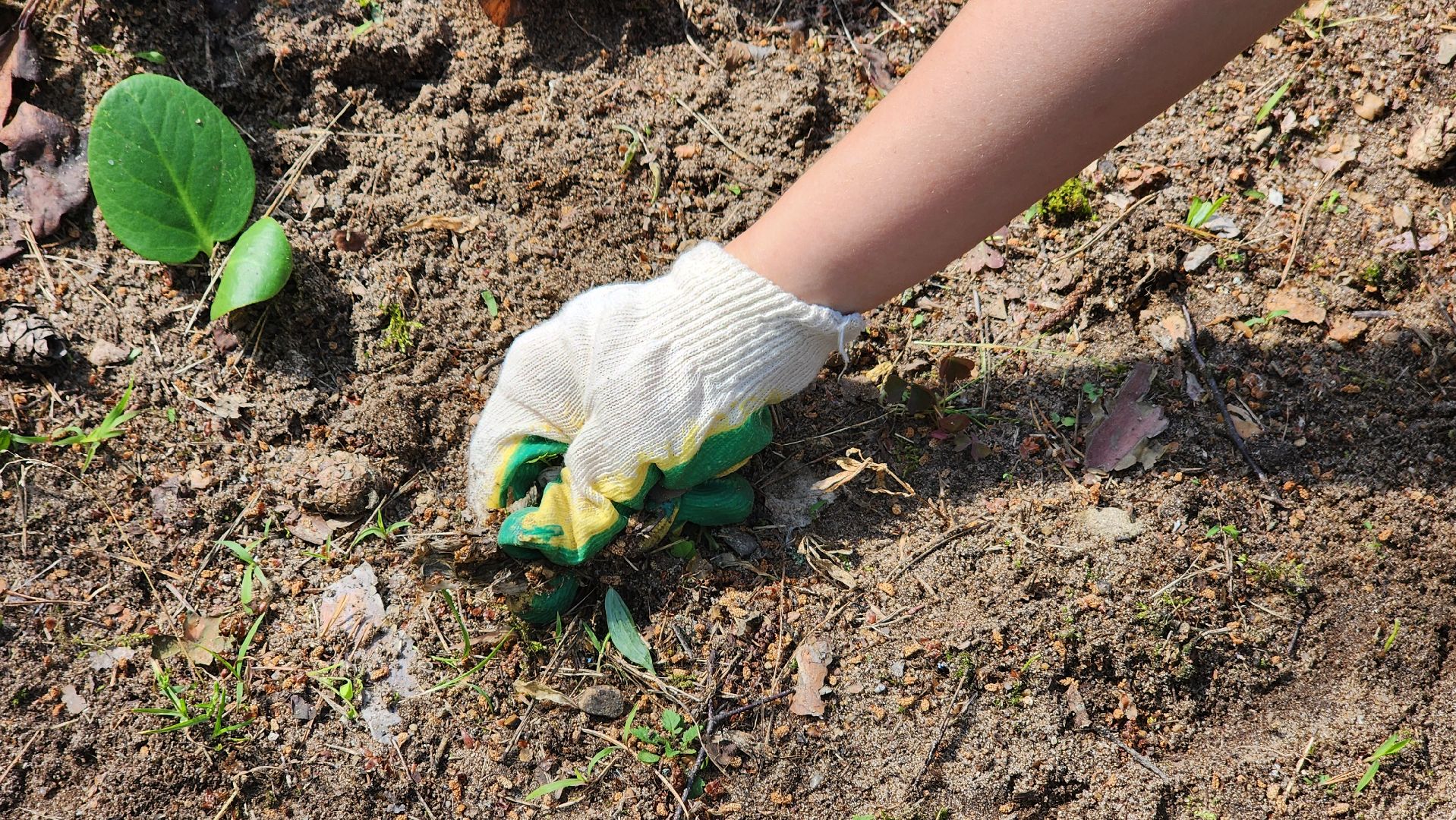 протвино, трудовые бригады подростков, благоустройство в детсаду,