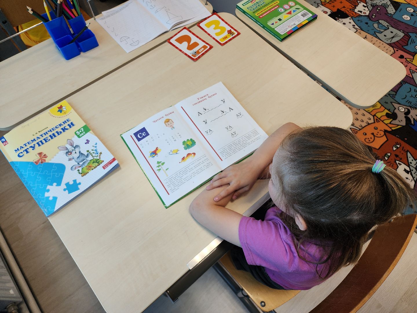 Егорьевск, Подмосковье, Московская область,