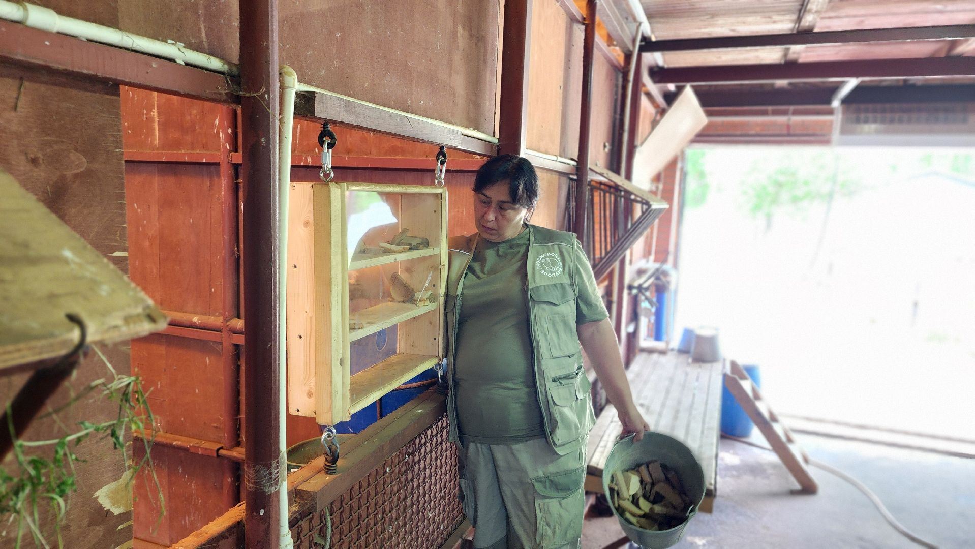 жираф, волоколамск, центр воспроизводства редких видов животных,