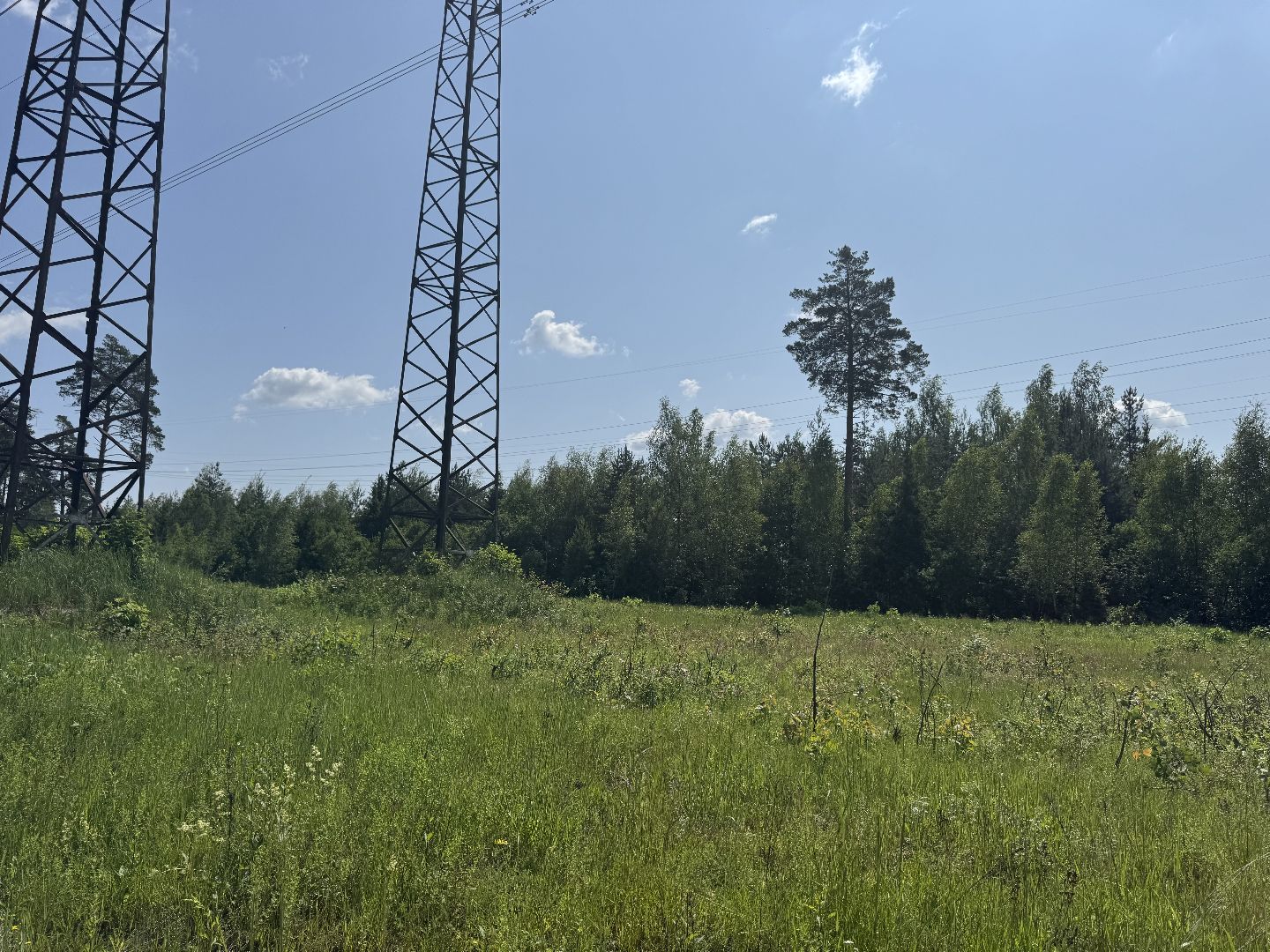 свалка мусора, полтевское шоссе, балашиха,