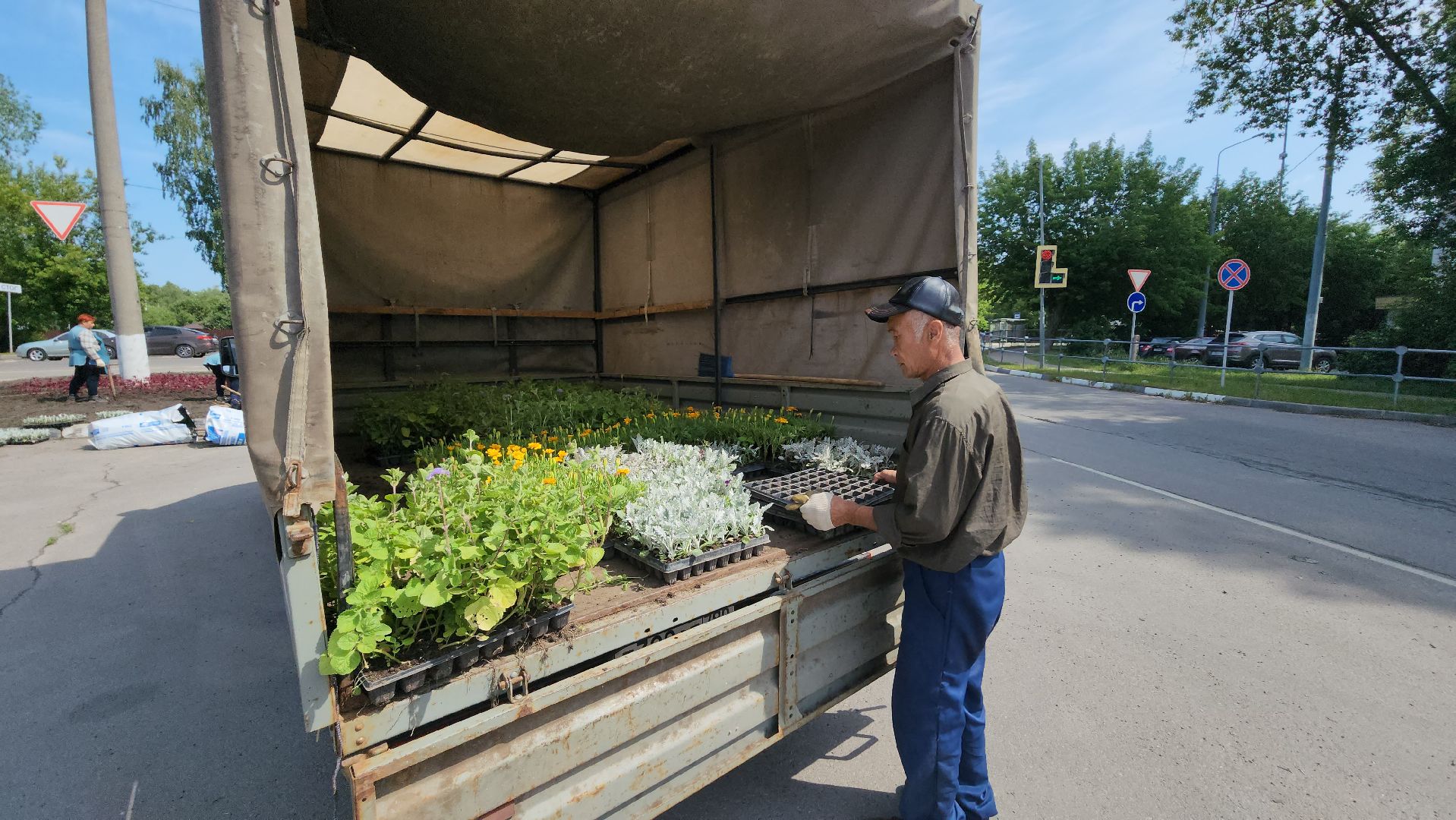 серпухов, городские клумбы, комбинат благоустройства, летние цветы, улица центральная,