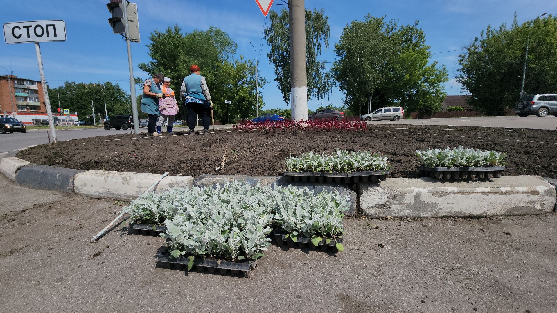 серпухов, городские клумбы, комбинат благоустройства, летние цветы, улица центральная,