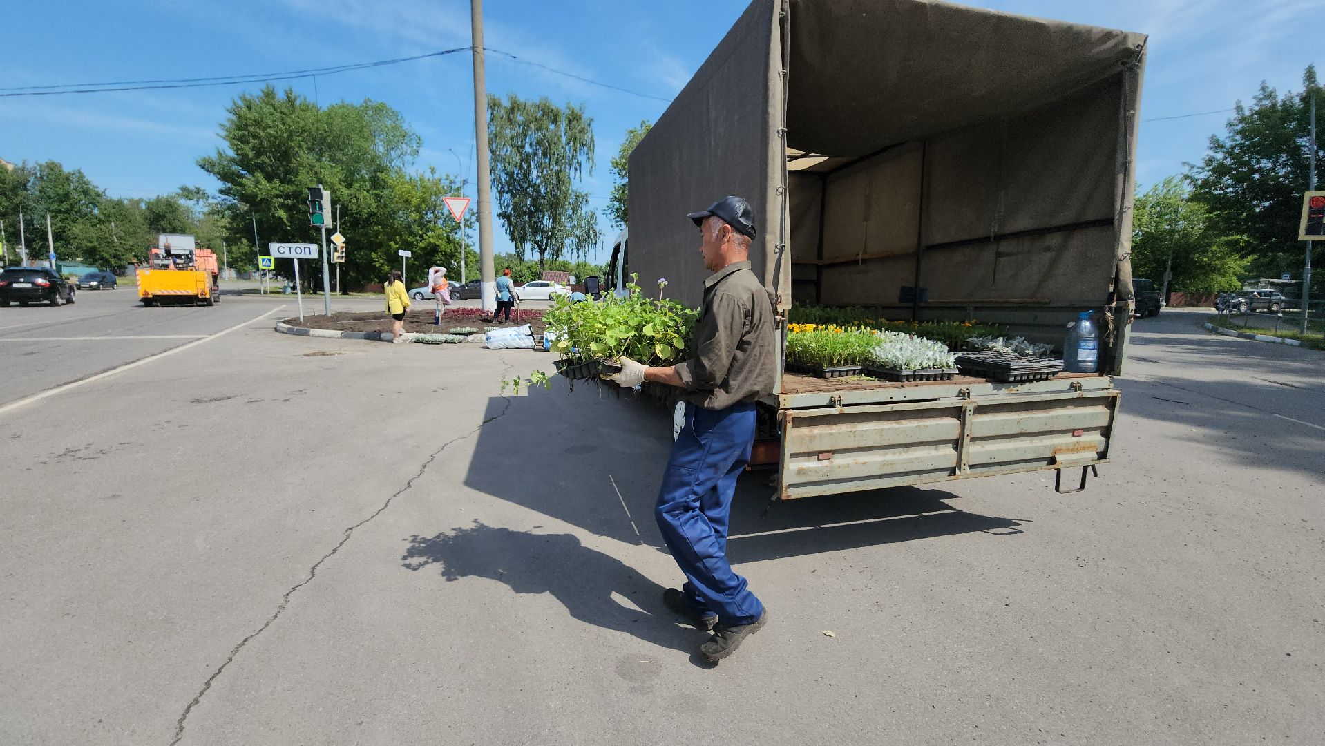 серпухов, городские клумбы, комбинат благоустройства, летние цветы, улица центральная,
