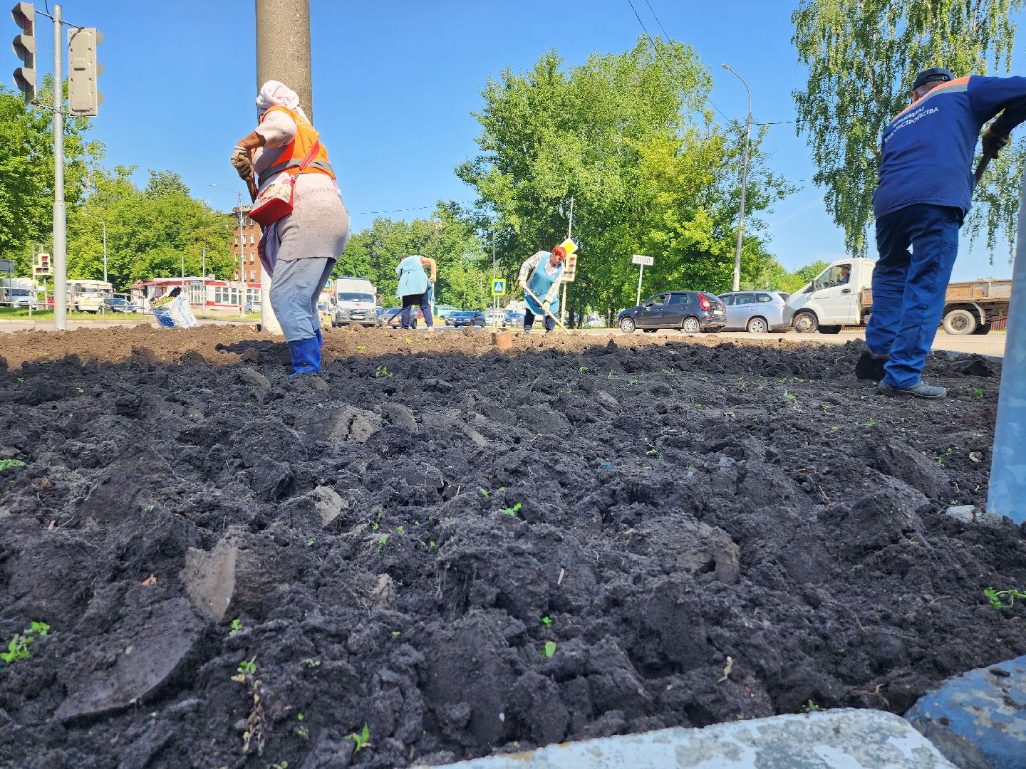 серпухов, городские клумбы, комбинат благоустройства, летние цветы, улица центральная,