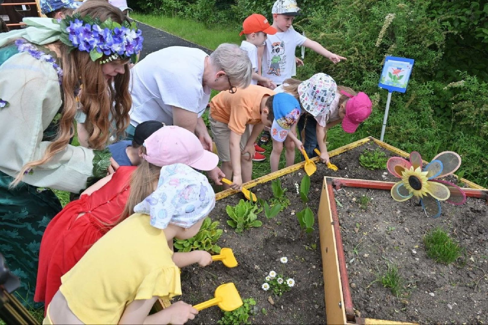 экология, дошкольники власихи, экотропа в детском саду, занятия с детьми, экологический квест,