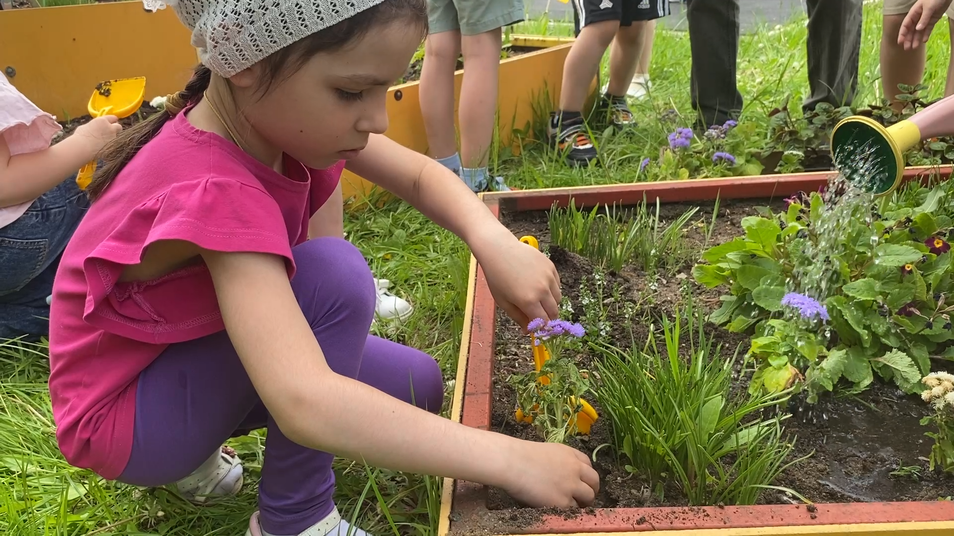 экология, дошкольники власихи, экотропа в детском саду, занятия с детьми, экологический квест,