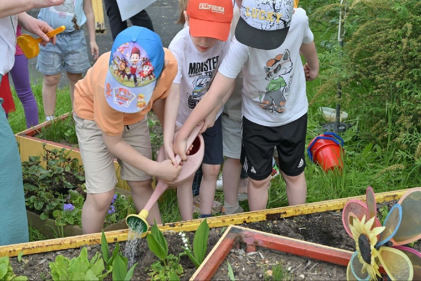 экология, дошкольники власихи, экотропа в детском саду, занятия с детьми, экологический квест,