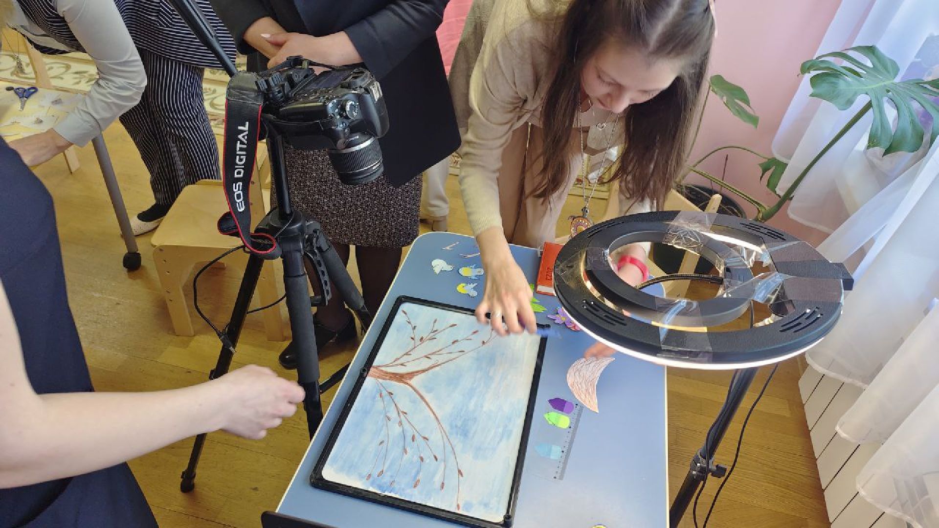 Мультфильм, детский сад, Домодедово