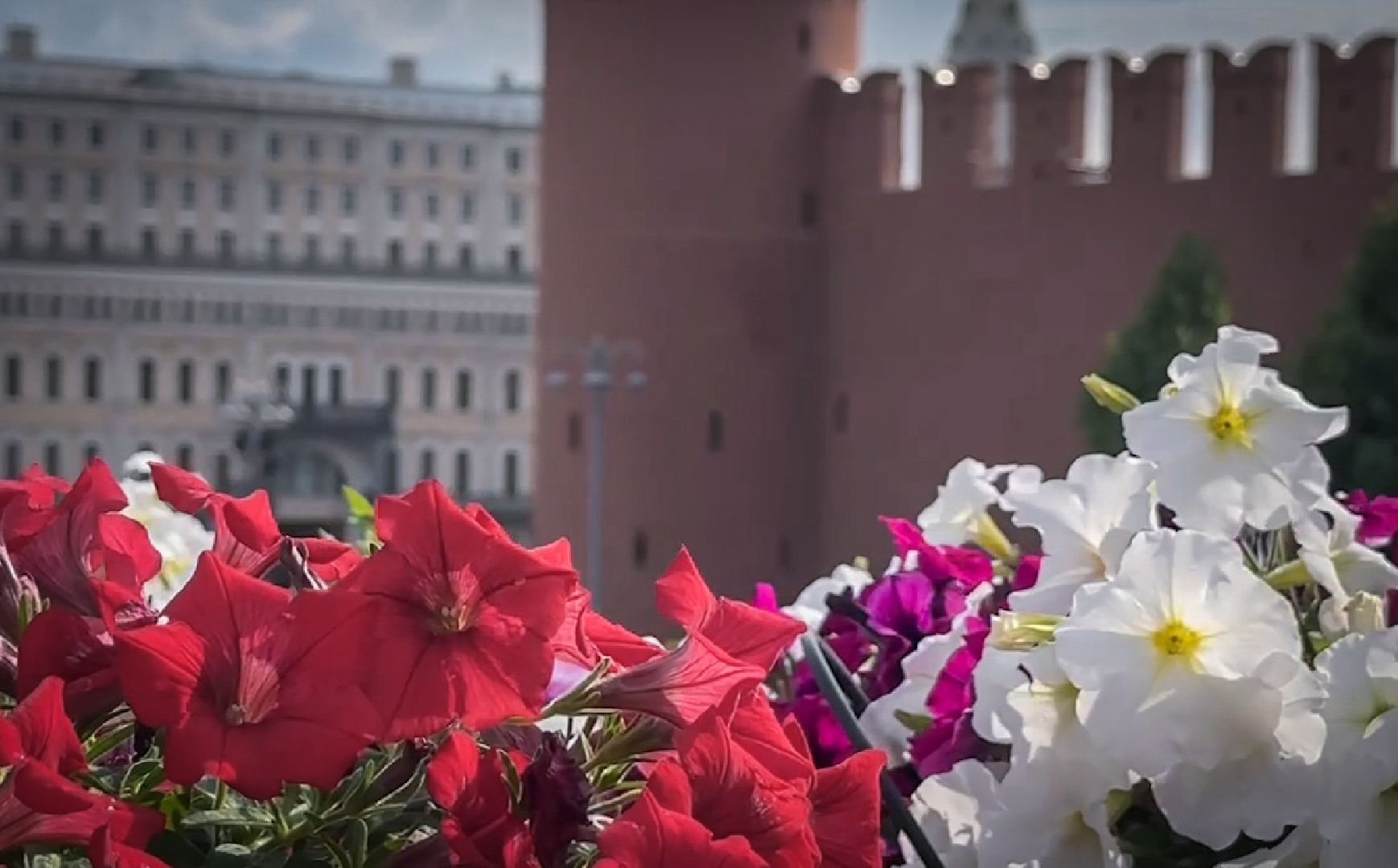 раменский округ, питомник растений,цветочная компания харченко, садовый центр бояркино,