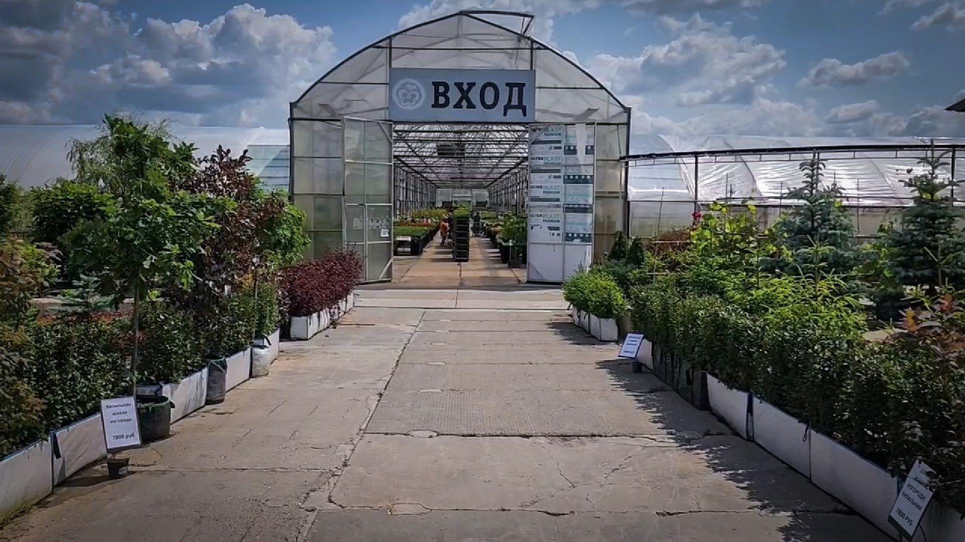 раменский округ, питомник растений,цветочная компания харченко, садовый центр бояркино,