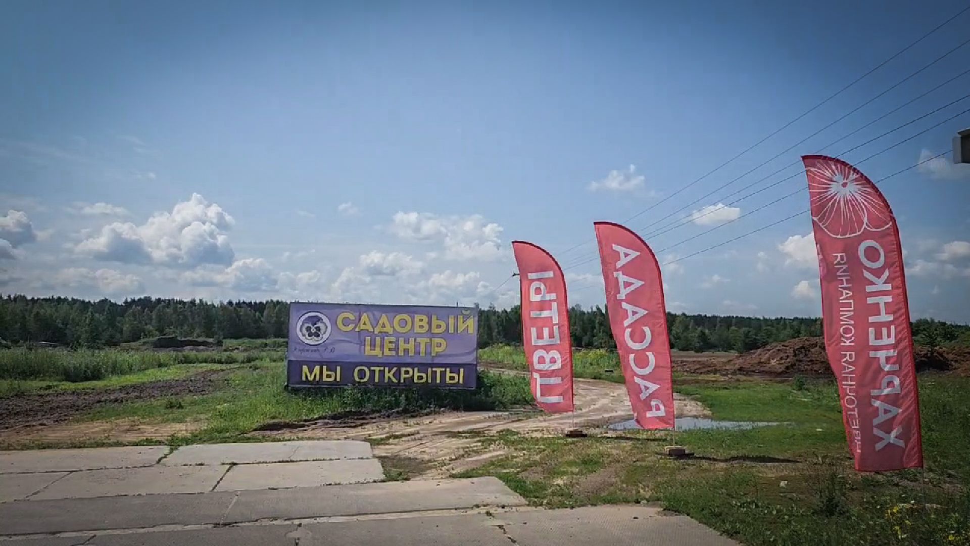 раменский округ, питомник растений,цветочная компания харченко, садовый центр бояркино,