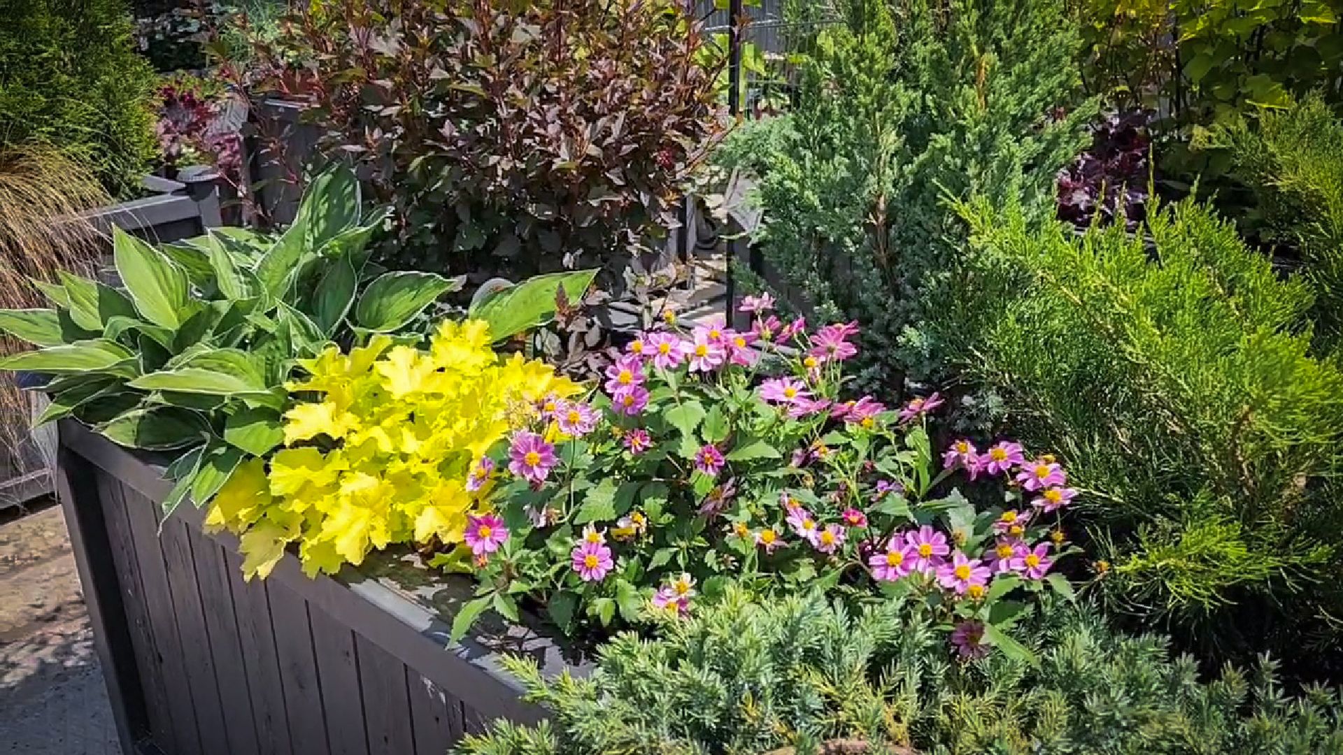 раменский округ, питомник растений,цветочная компания харченко, садовый центр бояркино,