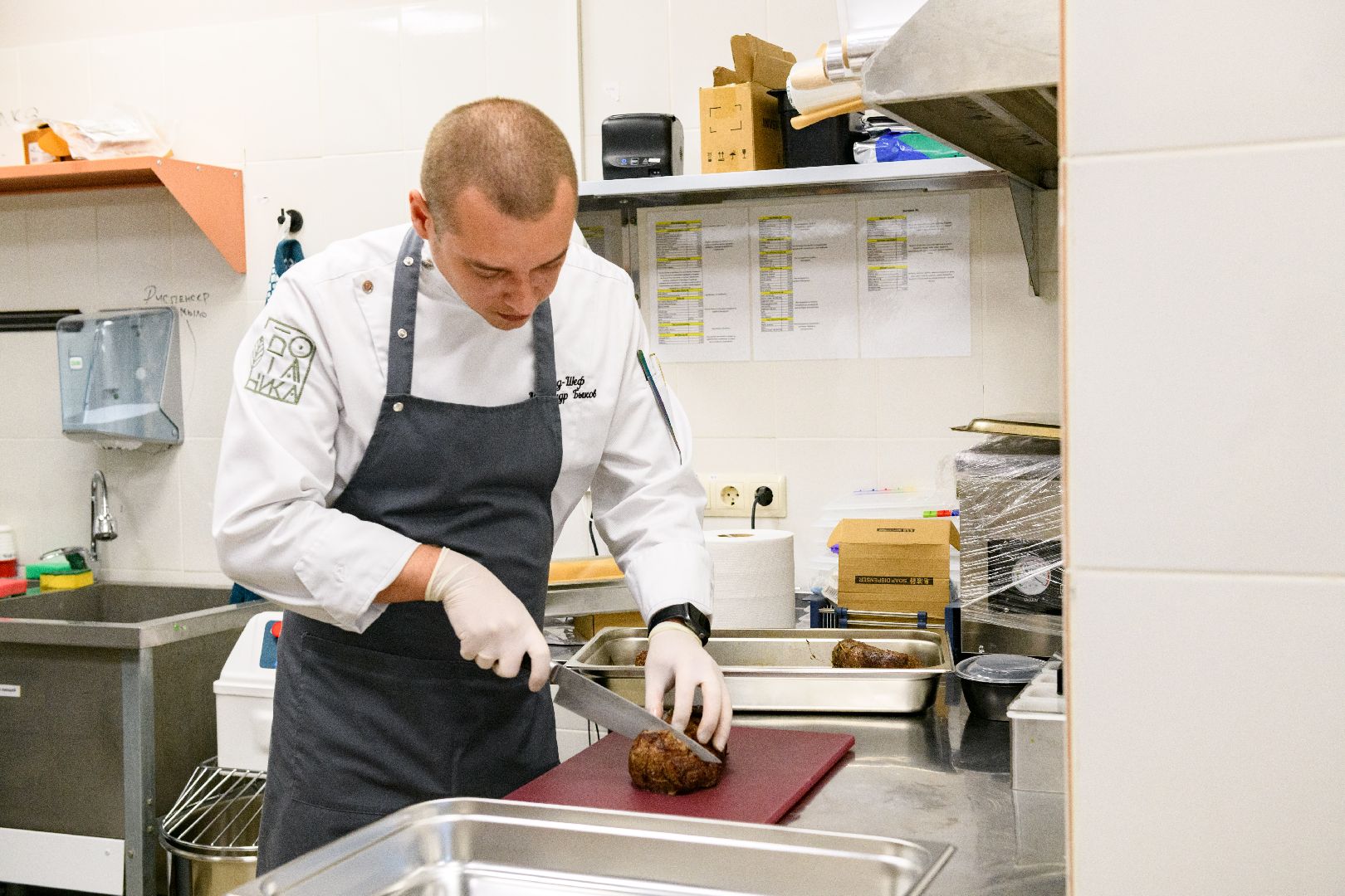 лыткарино, общество, ботаника, карьер волкуша, ботаника на песках, общепит,