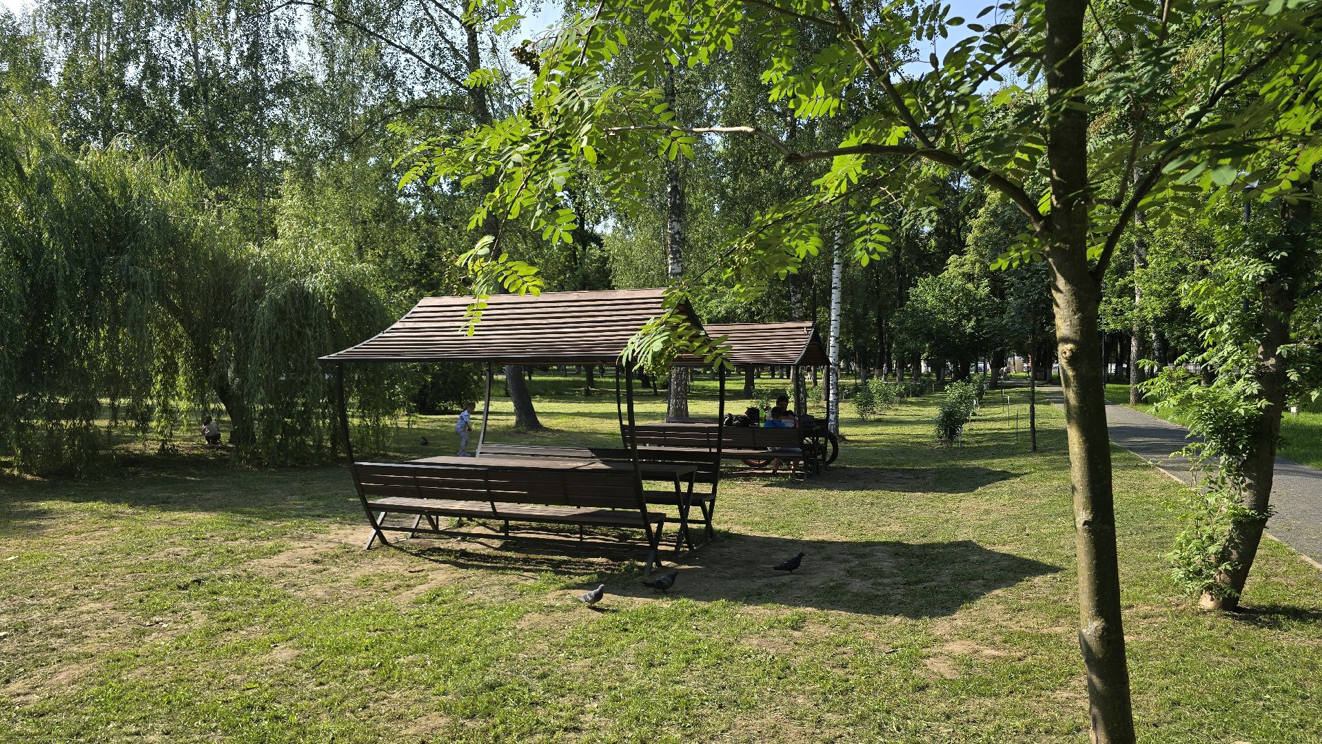 Коломна, пикниковые зоны, зона отдыха,