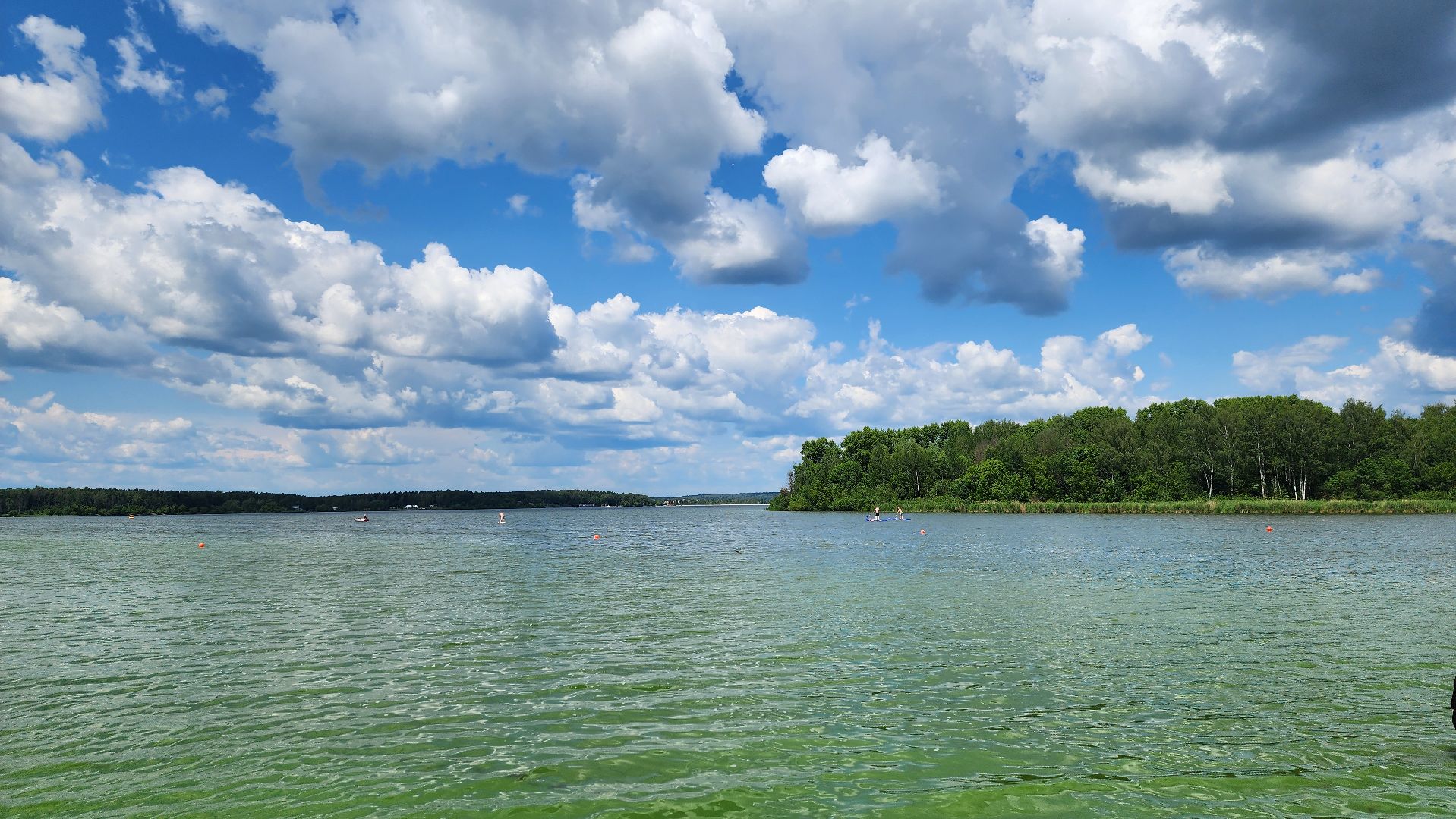солнечногорск, доступная среда, озеро сенеж, летний сезон,
