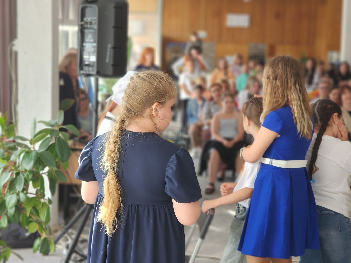 Черноголовка, юный голос черноголовки, Концерт,