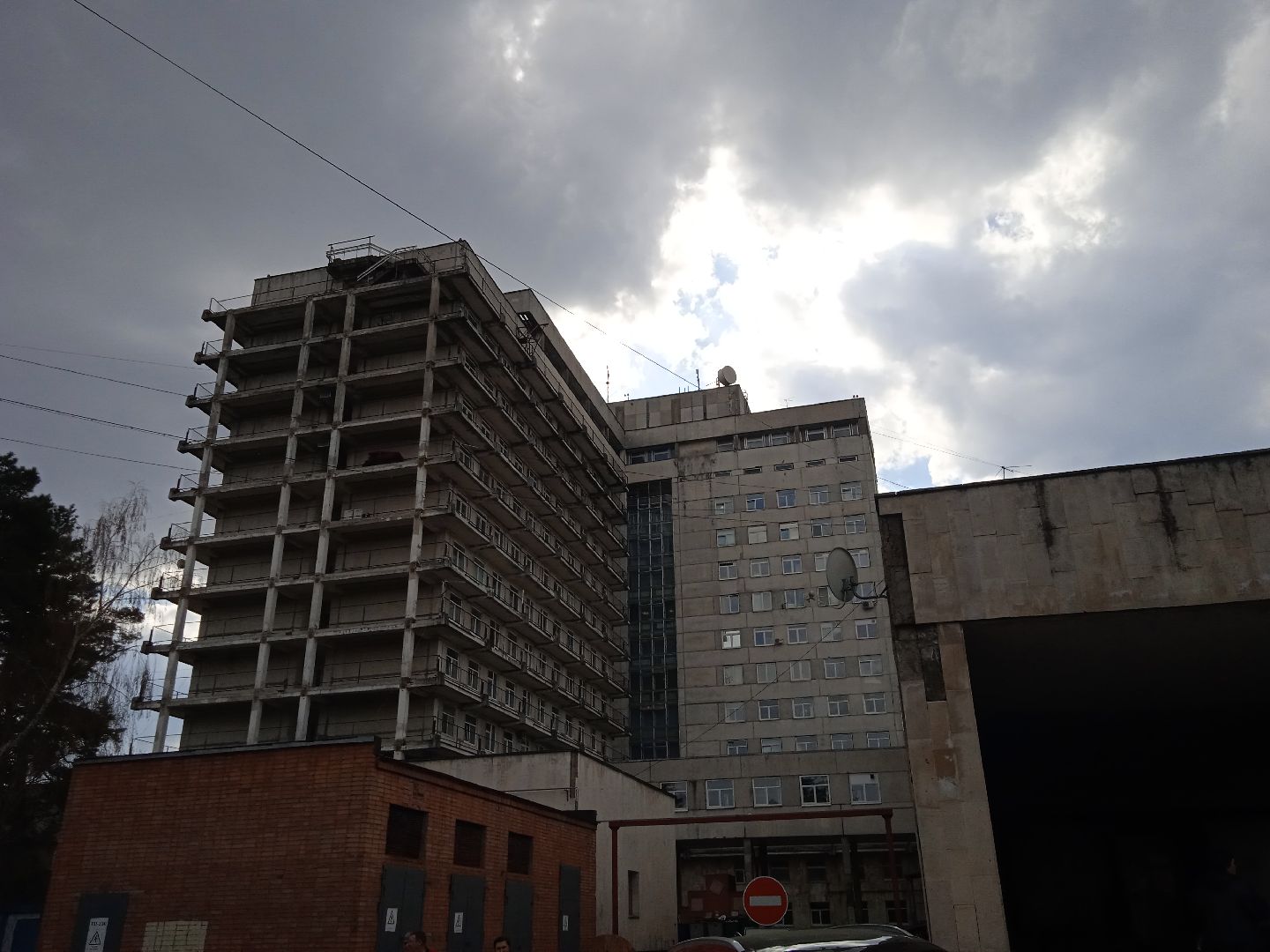 клещи, активность, боррелиоз, болезнь, лайма, энцефалит, Жуковский