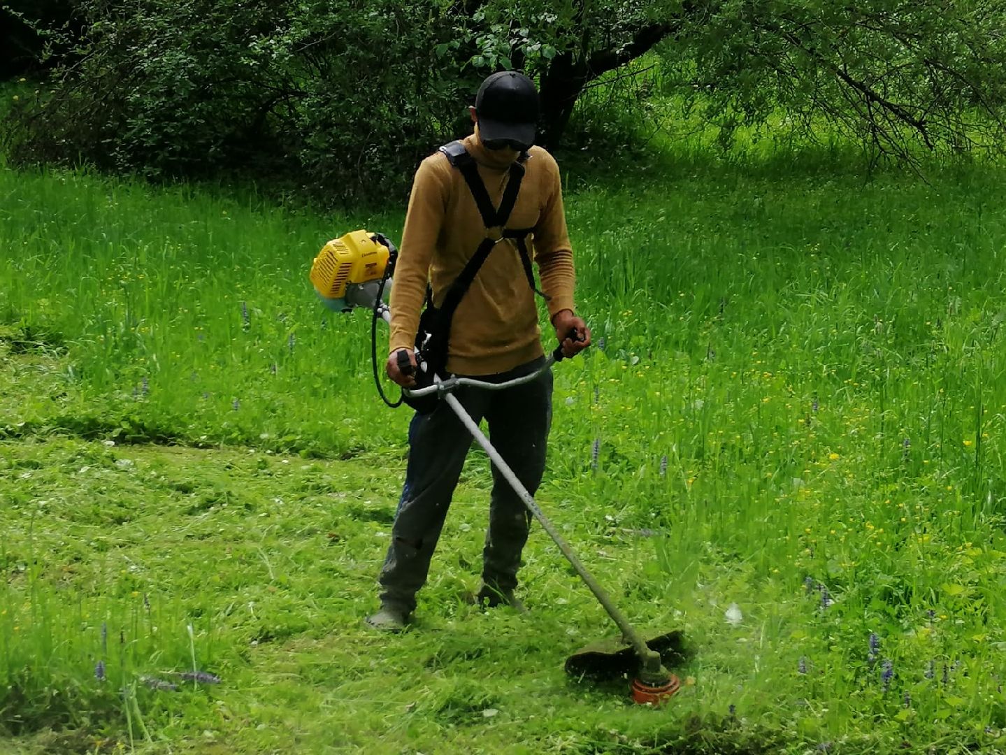 городской округ восход, благоустройство, жкх, покос травы,