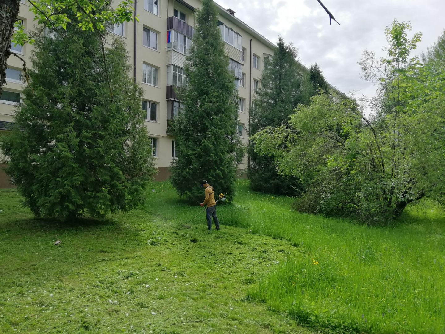 городской округ восход, благоустройство, жкх, покос травы,