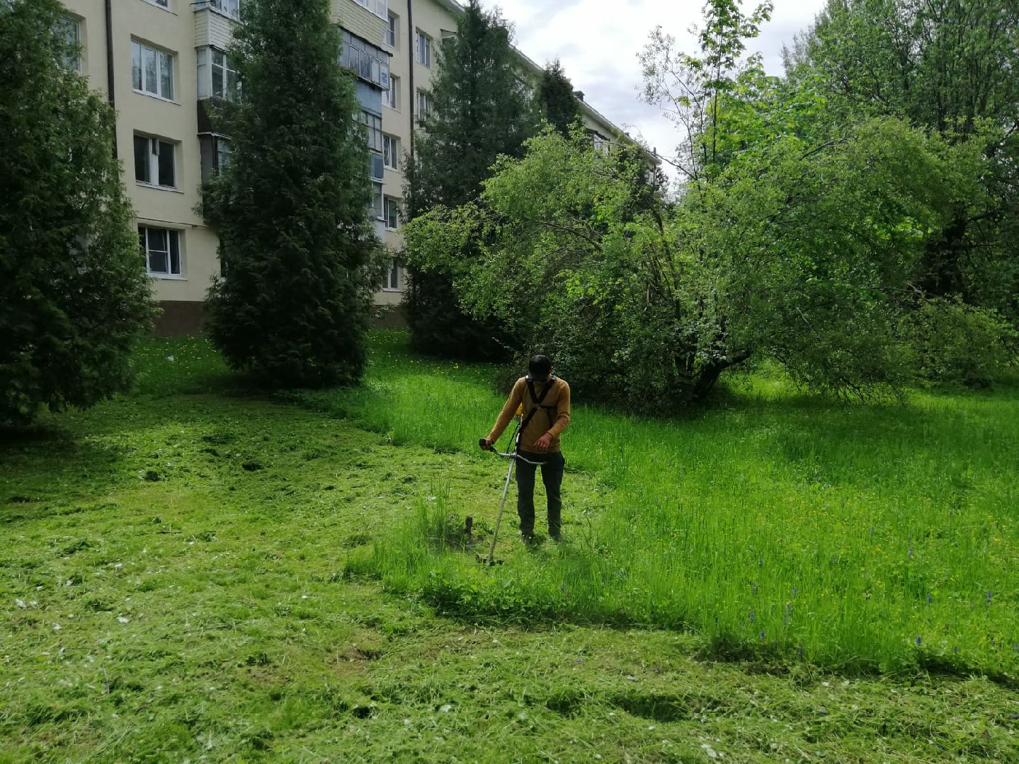 городской округ восход, благоустройство, жкх, покос травы,