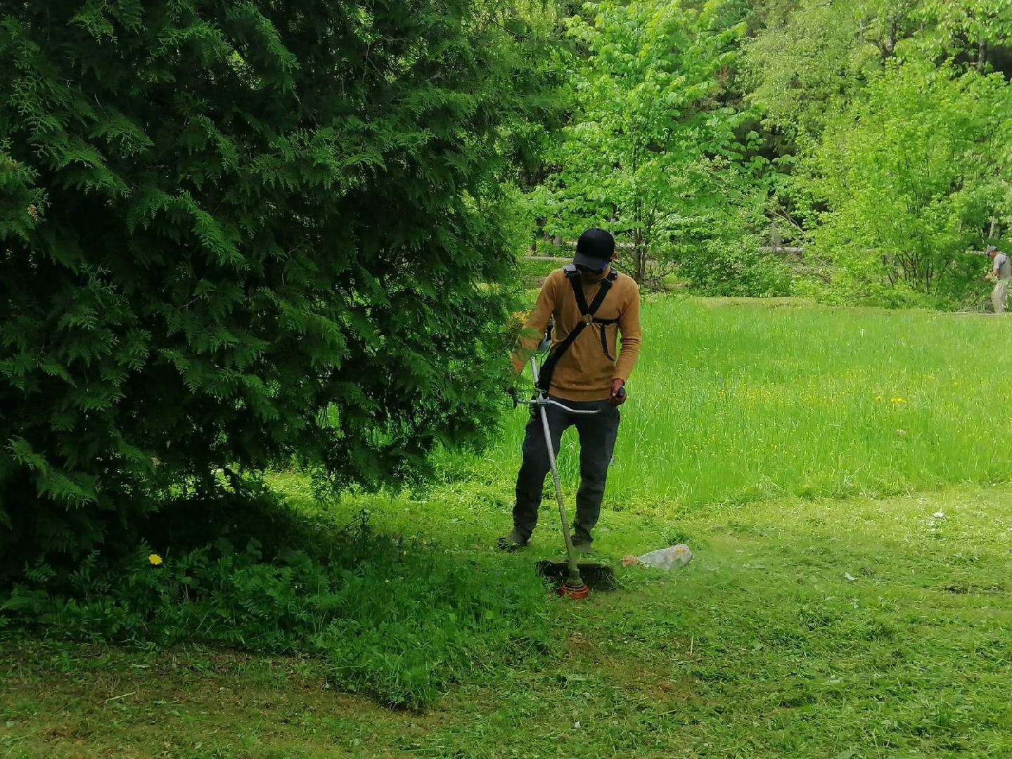 городской округ восход, благоустройство, жкх, покос травы,
