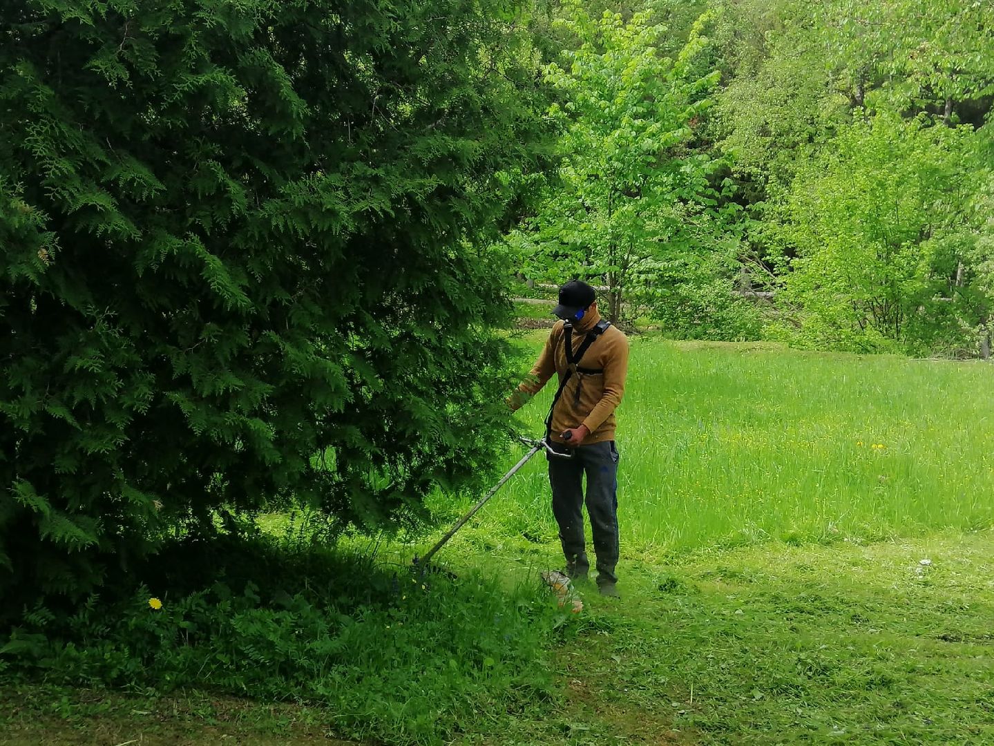 городской округ восход, благоустройство, жкх, покос травы,