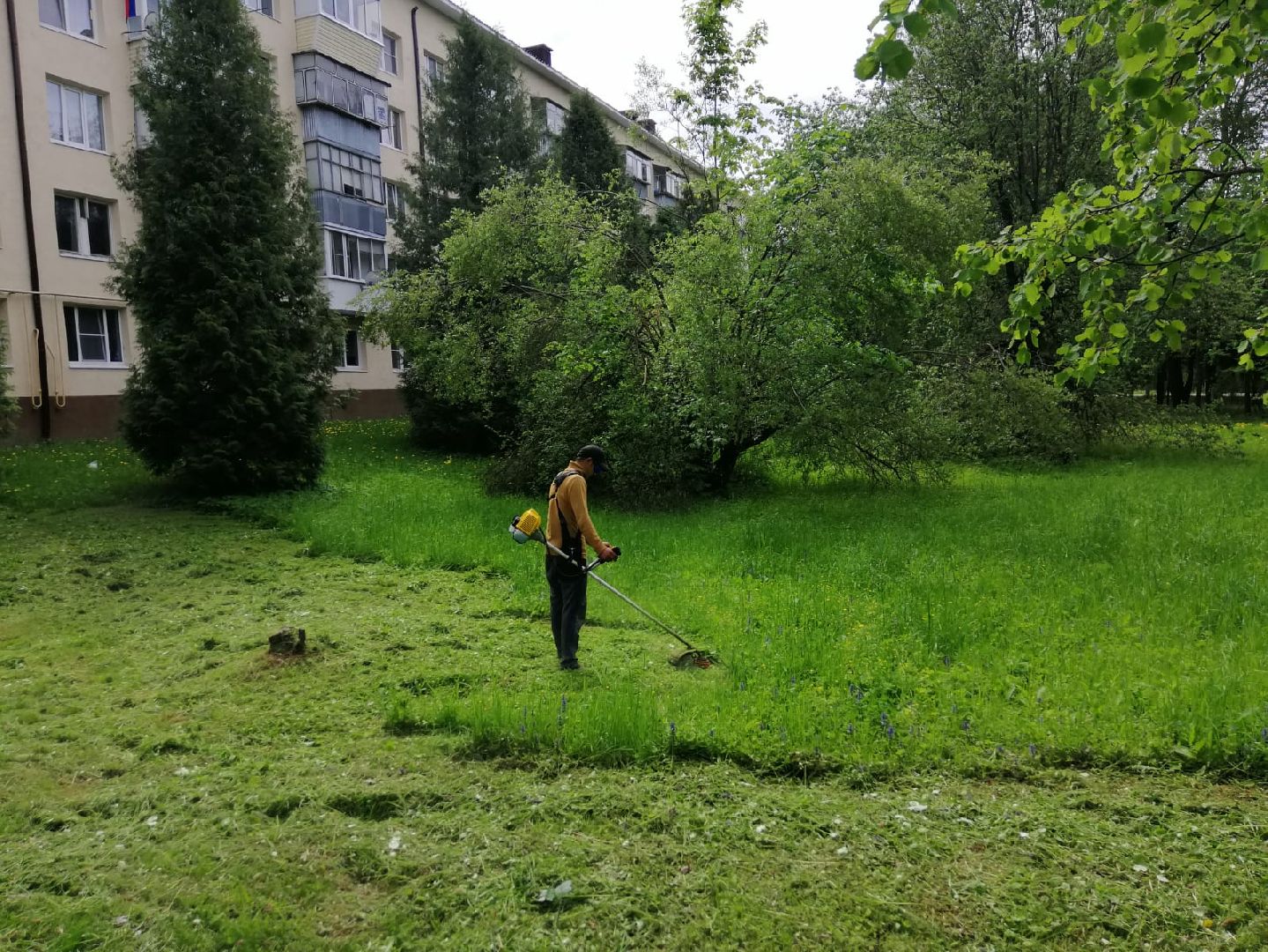 городской округ восход, благоустройство, жкх, покос травы,