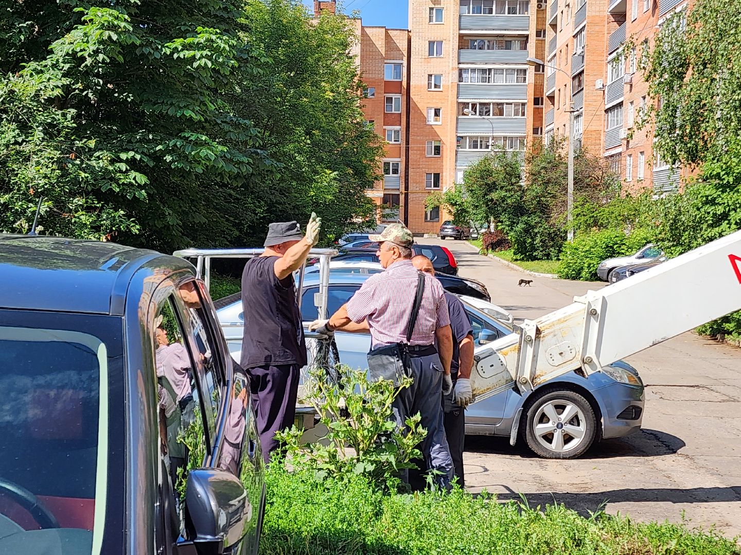 чехов, улица чехова, двор жилого дома, упавшее дерево, обрыв проводов, восстановление уличного освещения, опиловка деревьев, содержание придомовой территории, мбу чеховское благоустройство,   россети московский регион,
