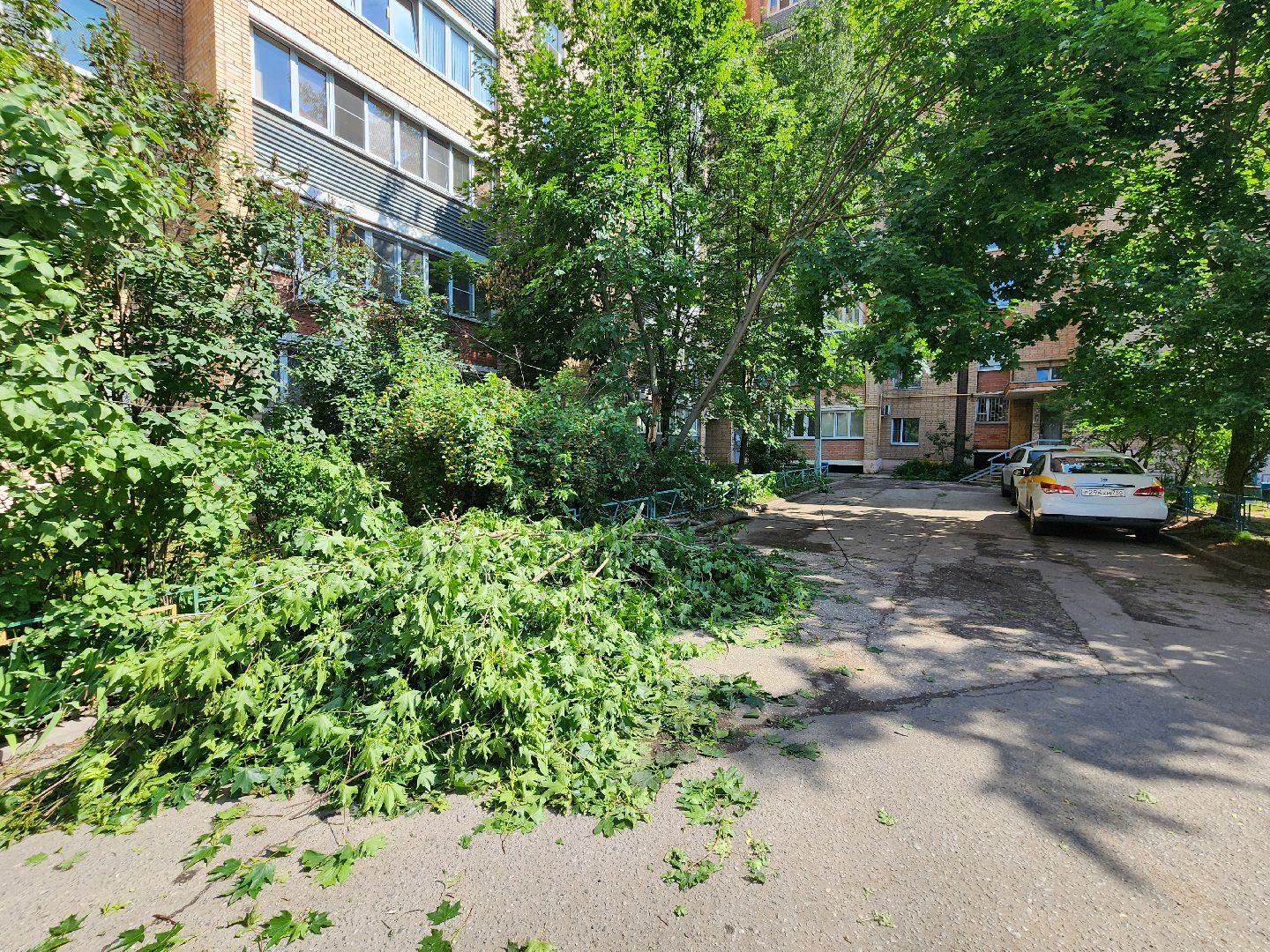 чехов, улица чехова, двор жилого дома, упавшее дерево, обрыв проводов, восстановление уличного освещения, опиловка деревьев, содержание придомовой территории, мбу чеховское благоустройство,   россети московский регион,