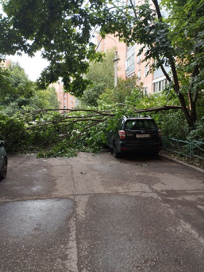 чехов, улица чехова, двор жилого дома, упавшее дерево, обрыв проводов, восстановление уличного освещения, опиловка деревьев, содержание придомовой территории, мбу чеховское благоустройство,   россети московский регион,