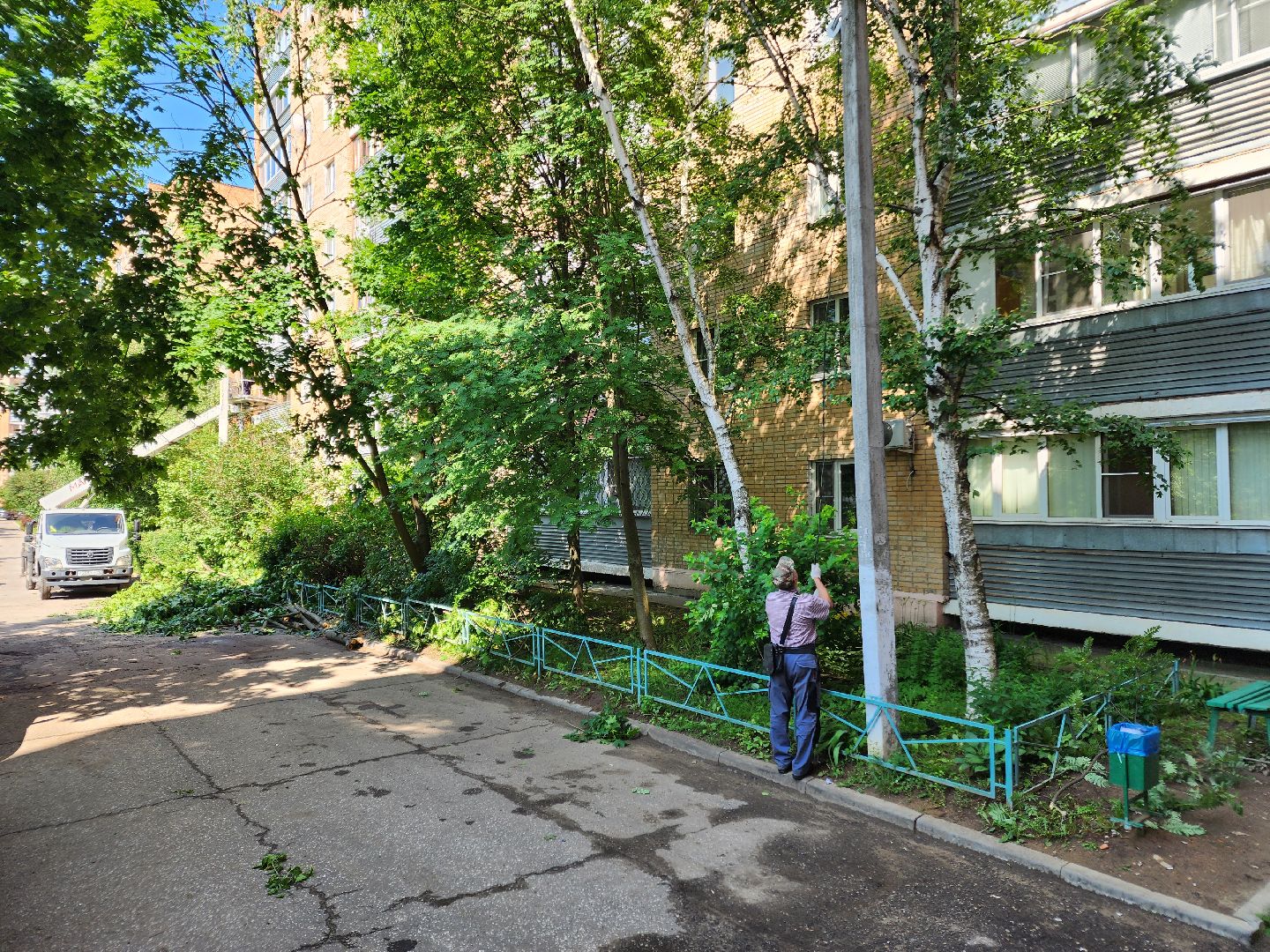 чехов, улица чехова, двор жилого дома, упавшее дерево, обрыв проводов, восстановление уличного освещения, опиловка деревьев, содержание придомовой территории, мбу чеховское благоустройство,   россети московский регион,