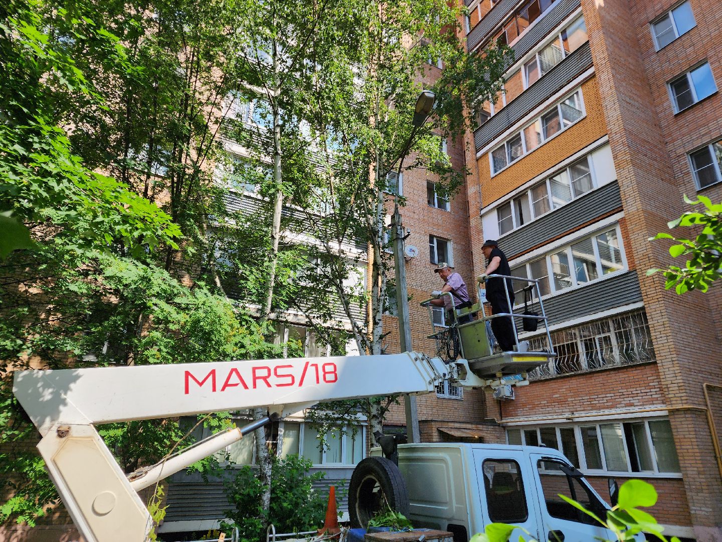 чехов, улица чехова, двор жилого дома, упавшее дерево, обрыв проводов, восстановление уличного освещения, опиловка деревьев, содержание придомовой территории, мбу чеховское благоустройство,   россети московский регион,