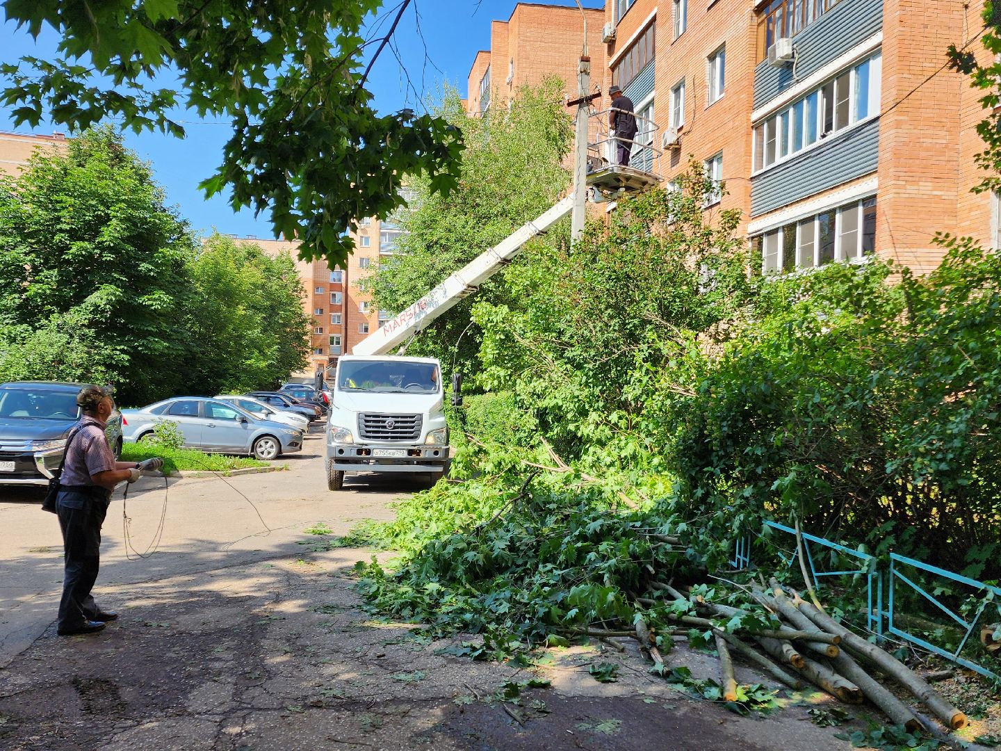 чехов, улица чехова, двор жилого дома, упавшее дерево, обрыв проводов, восстановление уличного освещения, опиловка деревьев, содержание придомовой территории, мбу чеховское благоустройство,   россети московский регион,