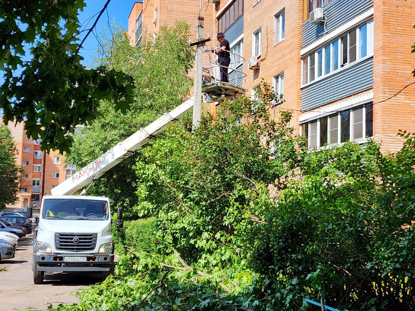 чехов, улица чехова, двор жилого дома, упавшее дерево, обрыв проводов, восстановление уличного освещения, опиловка деревьев, содержание придомовой территории, мбу чеховское благоустройство,   россети московский регион,