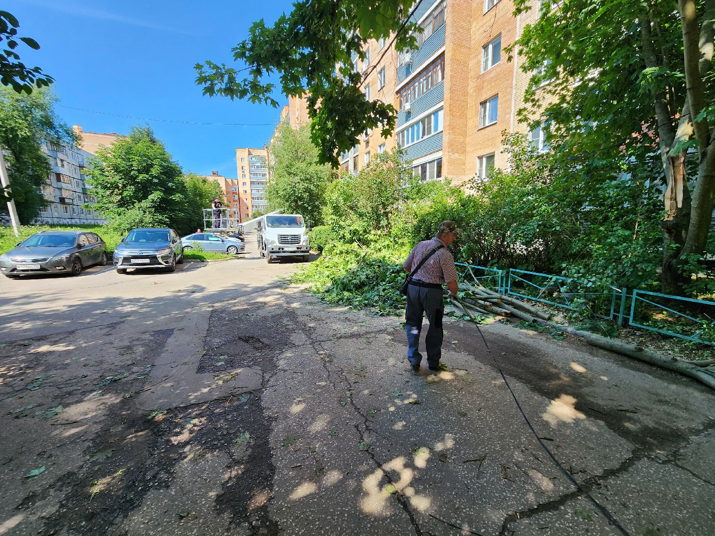 чехов, улица чехова, двор жилого дома, упавшее дерево, обрыв проводов, восстановление уличного освещения, опиловка деревьев, содержание придомовой территории, мбу чеховское благоустройство,   россети московский регион,
