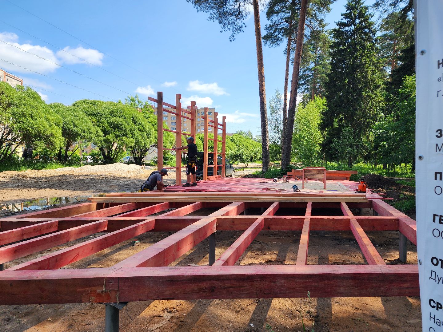 красноармейск, городской округ пушкинский, банный лес, лесопарк,