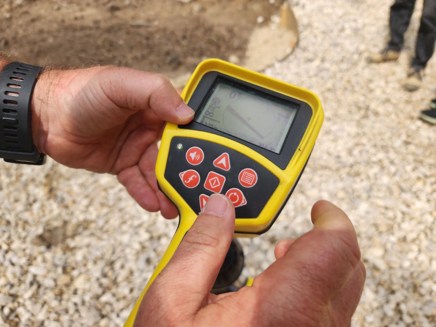 красноармейск, городской округ пушкинский, банный лес, лесопарк,