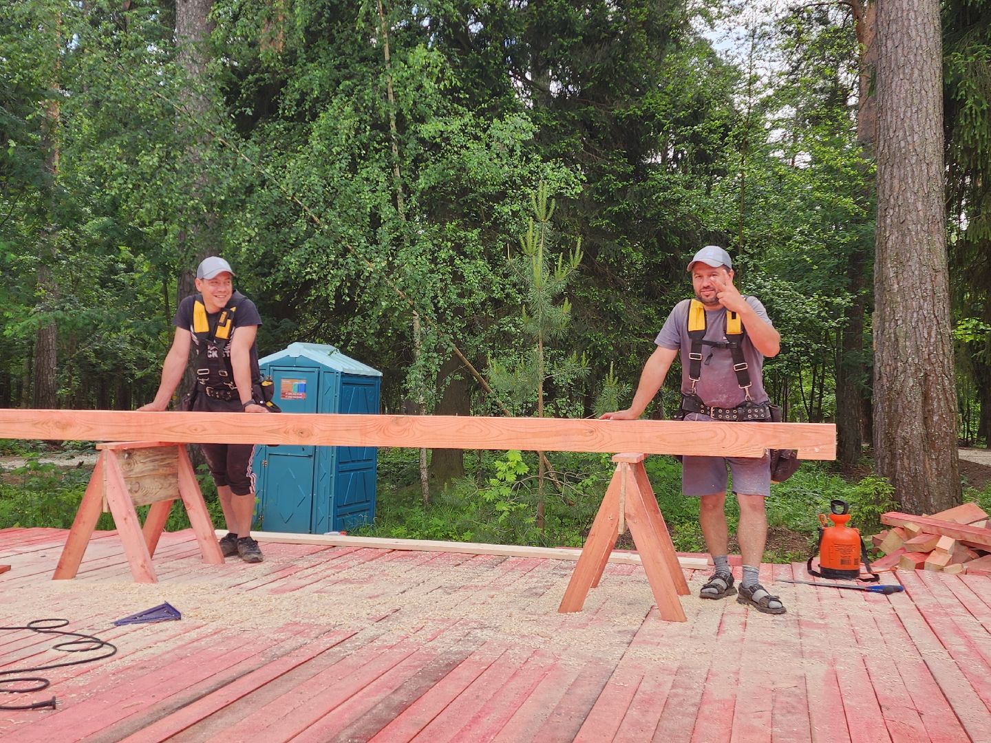 красноармейск, городской округ пушкинский, банный лес, лесопарк,