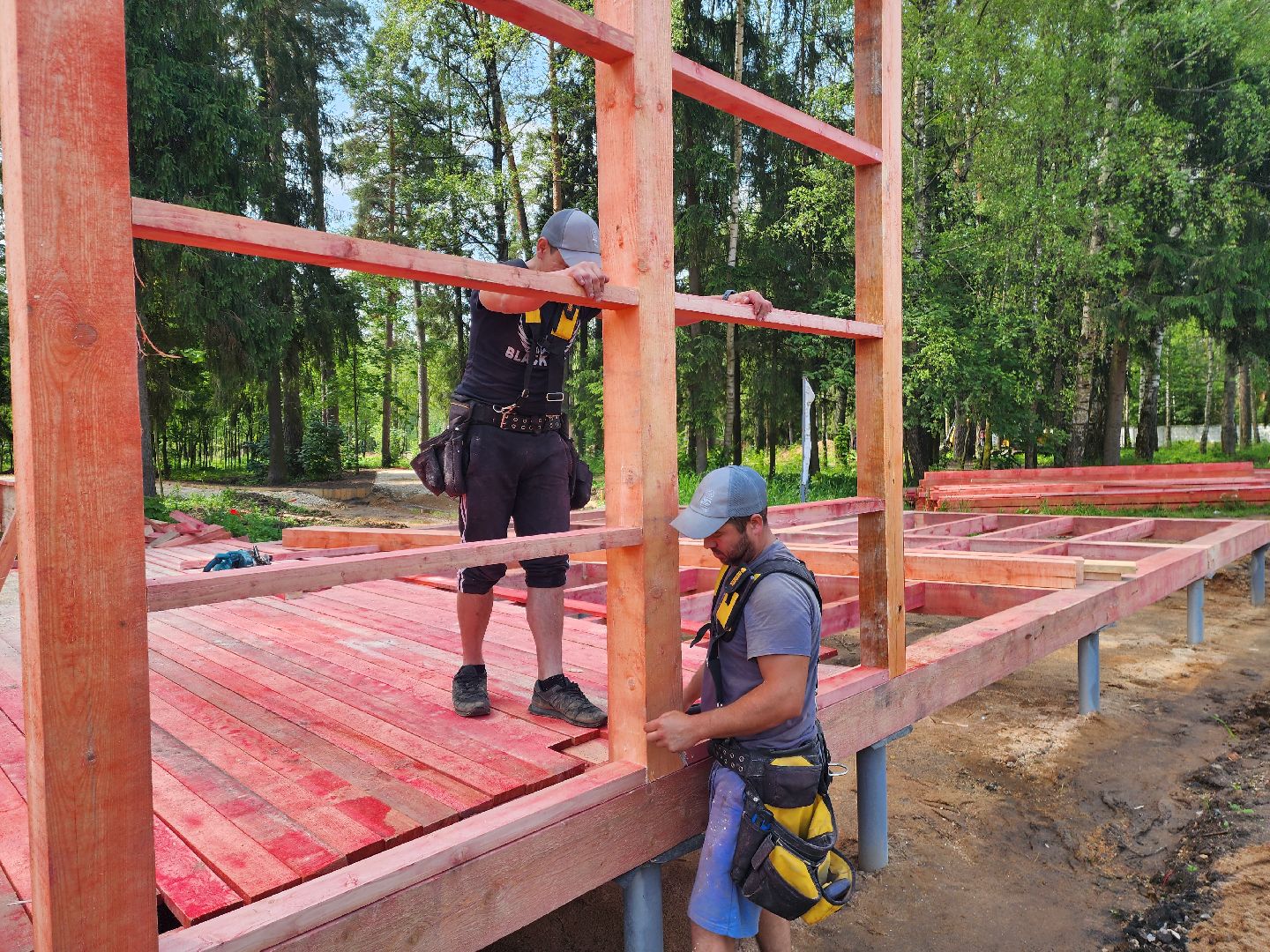 красноармейск, городской округ пушкинский, банный лес, лесопарк,