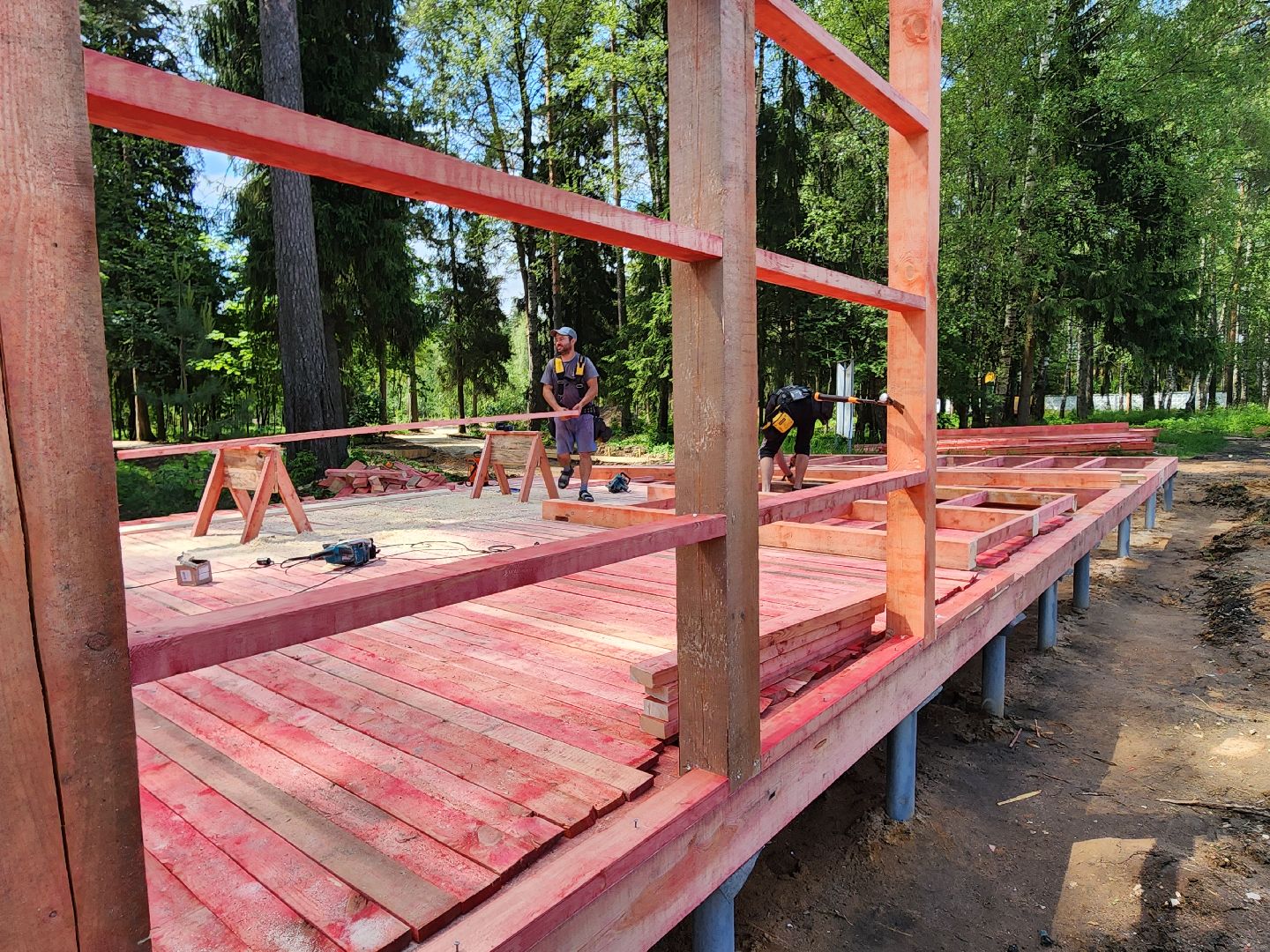 красноармейск, городской округ пушкинский, банный лес, лесопарк,