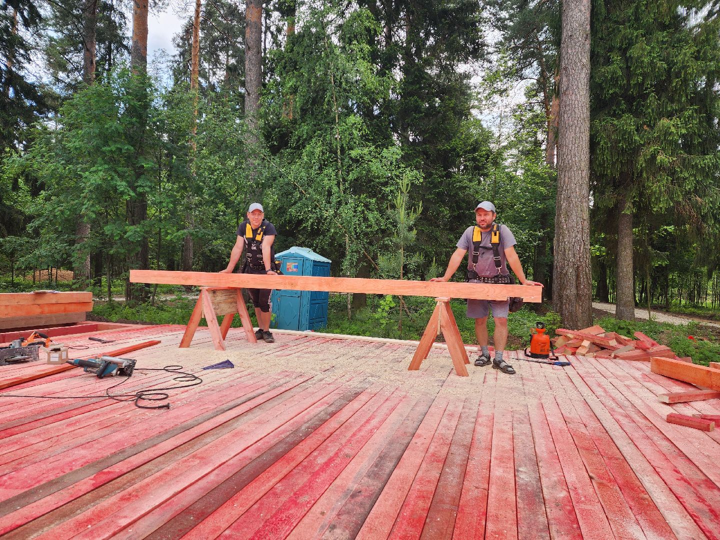красноармейск, городской округ пушкинский, банный лес, лесопарк,