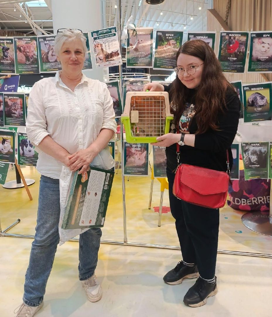 пушкино, акварель, бездомные животные, пристройство, волонтеры, кошки, собаки, помощь бездомным животным, питомцы, питомцы в добрые руки,