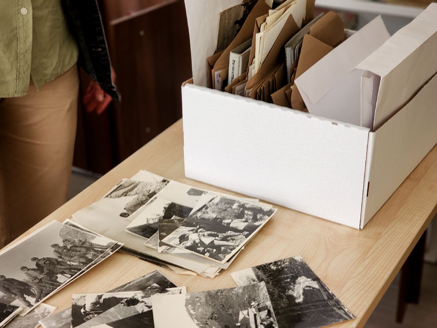 дубна, оияи, блохинка, архив,