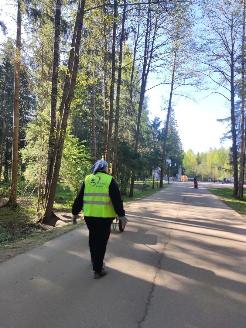 Благоустройство, уборка, Дубна