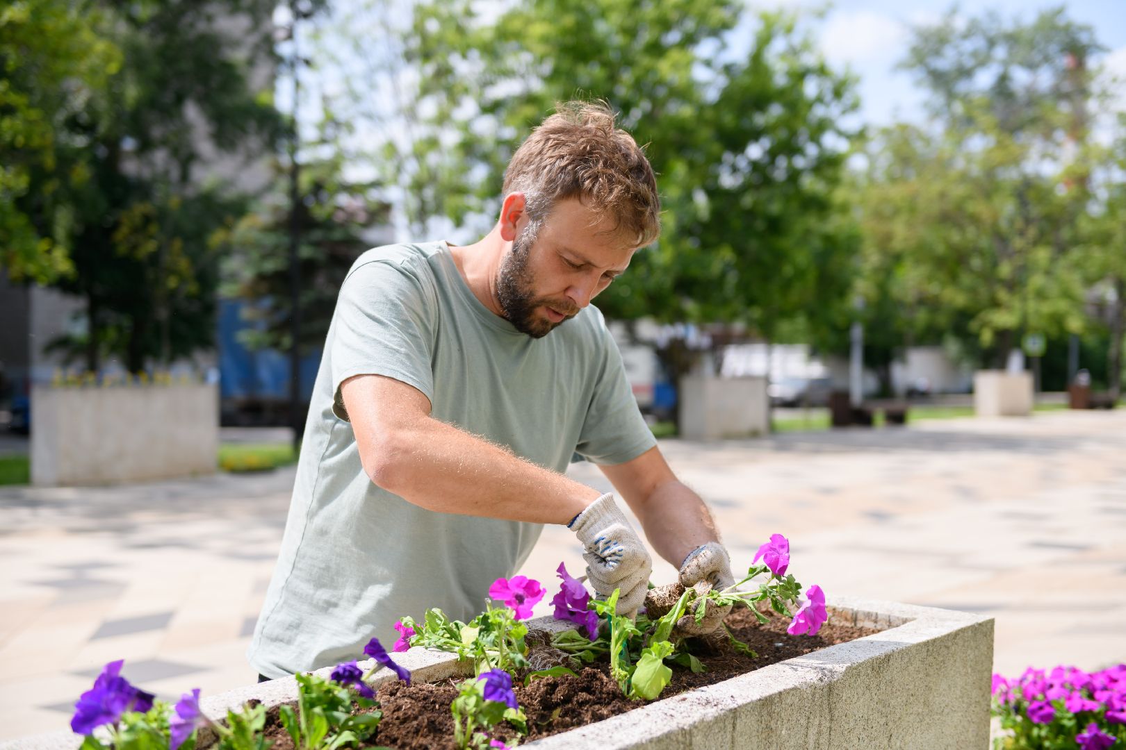 жкх, лыткарино, цветы, клумбы,